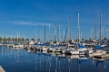 Marina Island-6698